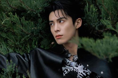 圈内人爆料王鹤棣白鹿,圈内人爆料恋情升温