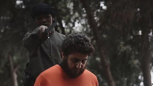 美国官员爆料蜥蜴人视频,神秘“蜥蜴人”视频引发全球热议