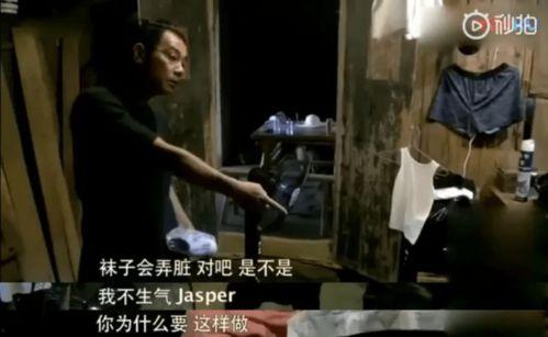 陈小春家庭爆料视频大全,独家爆料视频大盘点