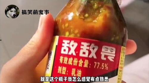 爆料辣酱事件视频播放网站,揭秘网络爆料的秘密角落