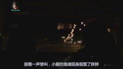 9路冥婚在线观看,惊悚悬疑，探寻生死边缘的禁忌之恋