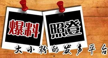 向新闻媒体爆料,揭秘新闻背后惊人真相