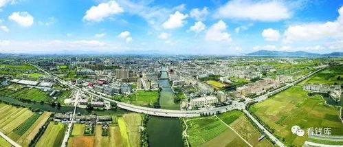 苍南钱库圈最新爆料,揭秘背后惊人真相