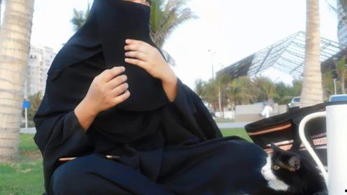 韩娱乐吃瓜君,吃瓜君带你探秘明星幕后故事