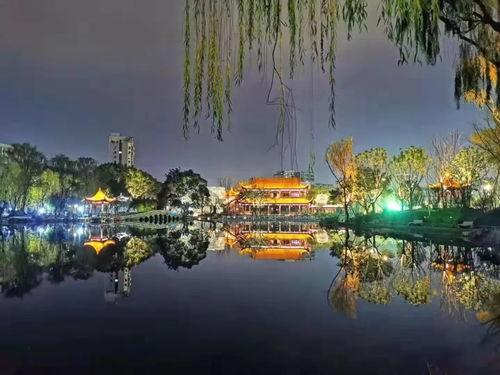 新春园林最新爆料新闻,揭秘园林行业新趋势与未来展望