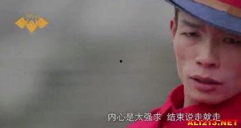 农村爆料大哥视频,揭秘农村生活现状与变迁