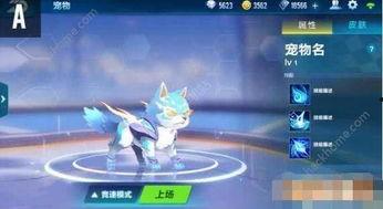 QQ飞车手游宠物返场最新爆料