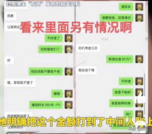东北爆料的博主是谁啊视频,揭秘“东北爆料”背后的神秘人物