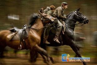 战马电影在线观看