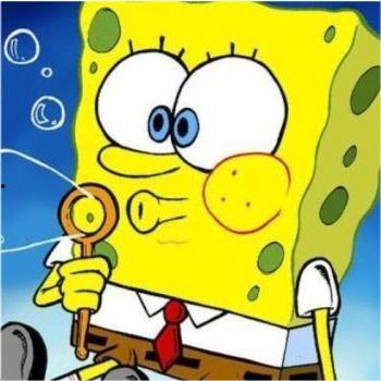 海绵宝宝今日爆料,今日爆料揭示海洋小镇的惊人秘密