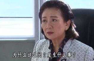 同盟粤语在线观看14,重温经典，感受粤语魅力